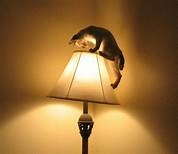 chat lampe